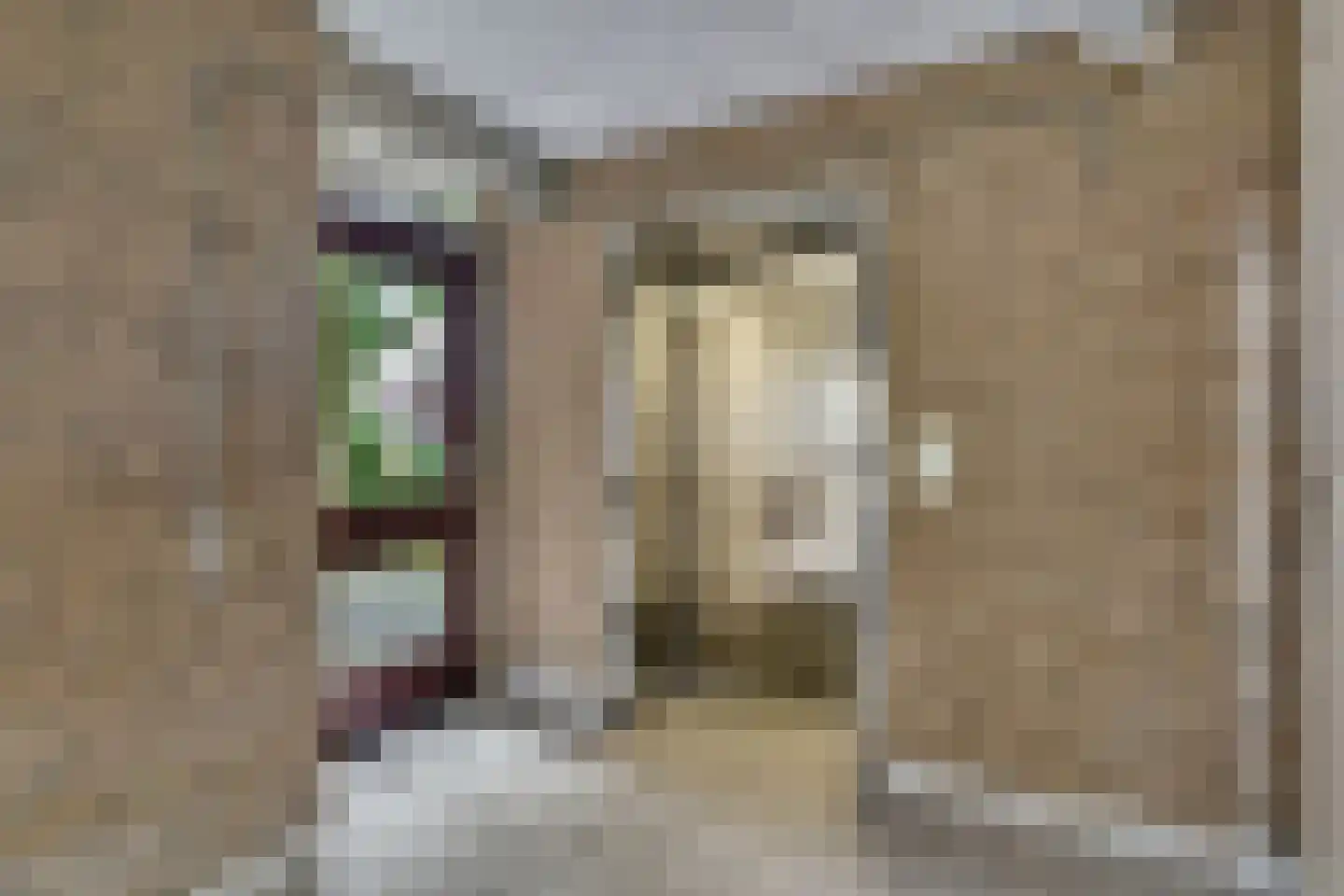 Bakkershof 98 Wateringen thumbnail 18