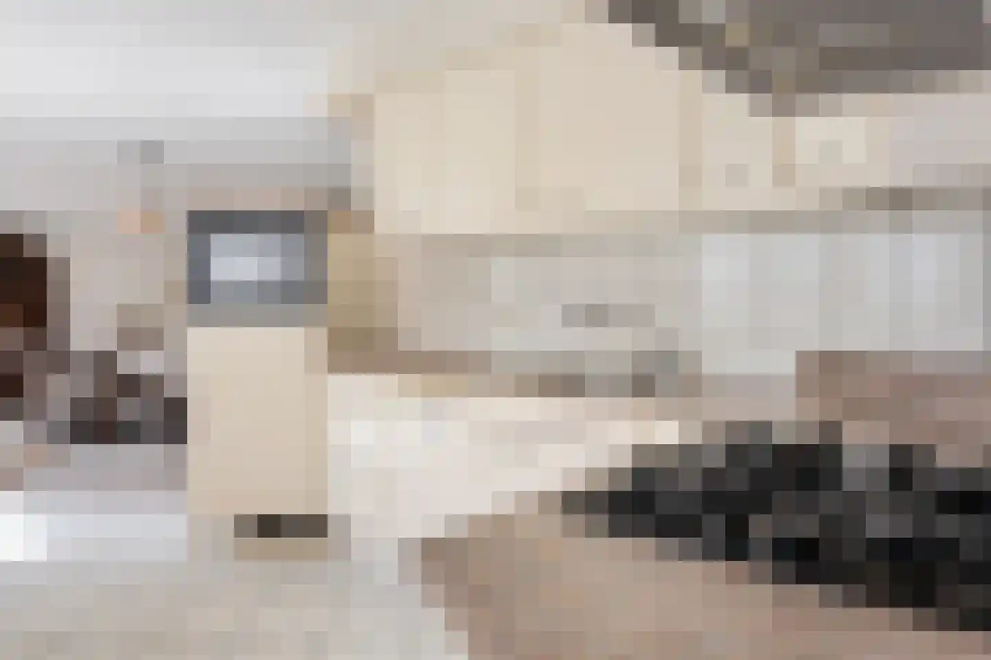 Bakkerskamp 18 Makkinga thumbnail 19