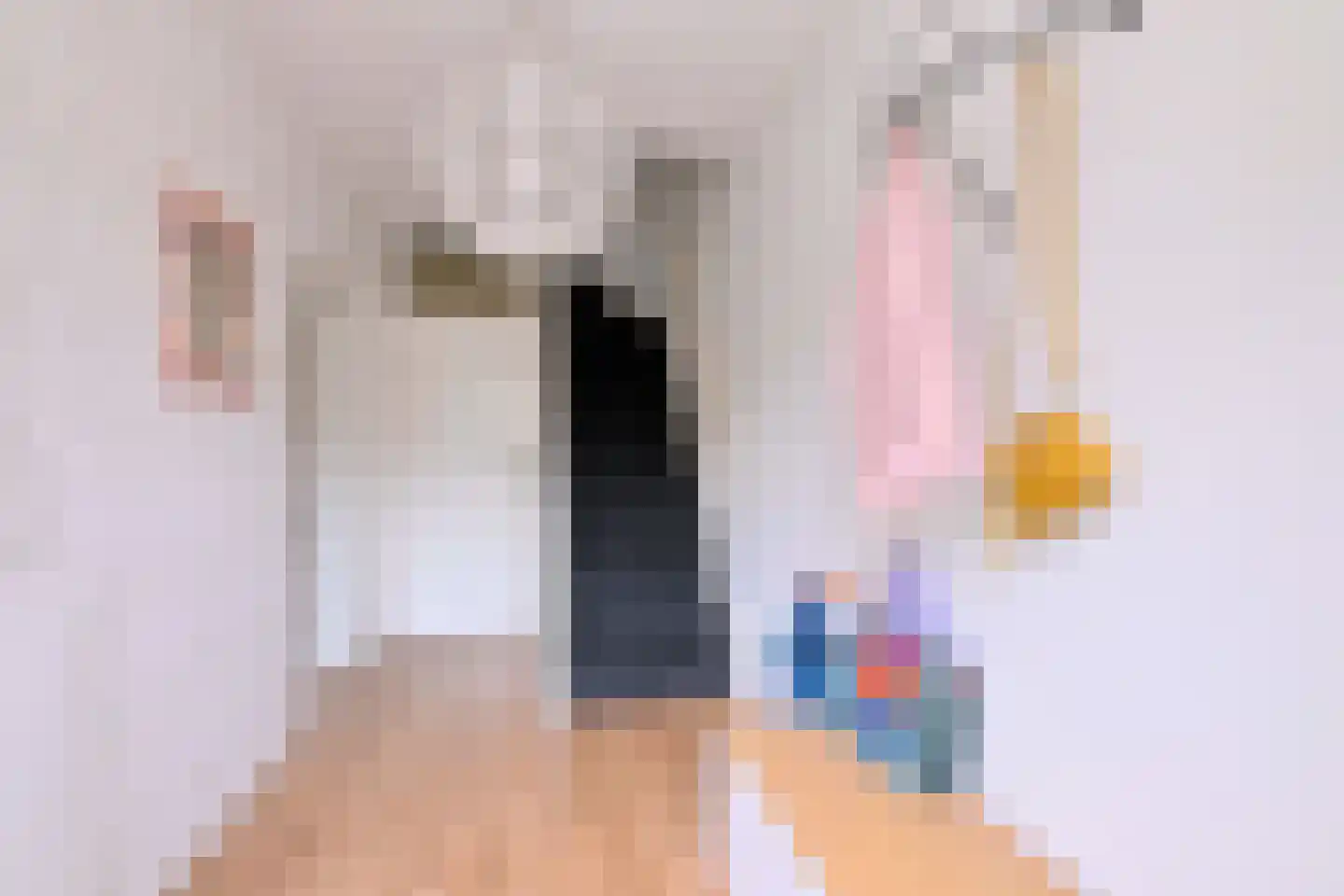 Bakkerskamp 34 Schalkhaar thumbnail 18