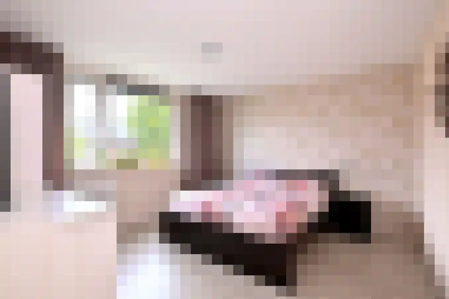 Bakkerskamp 34 Schalkhaar thumbnail 19