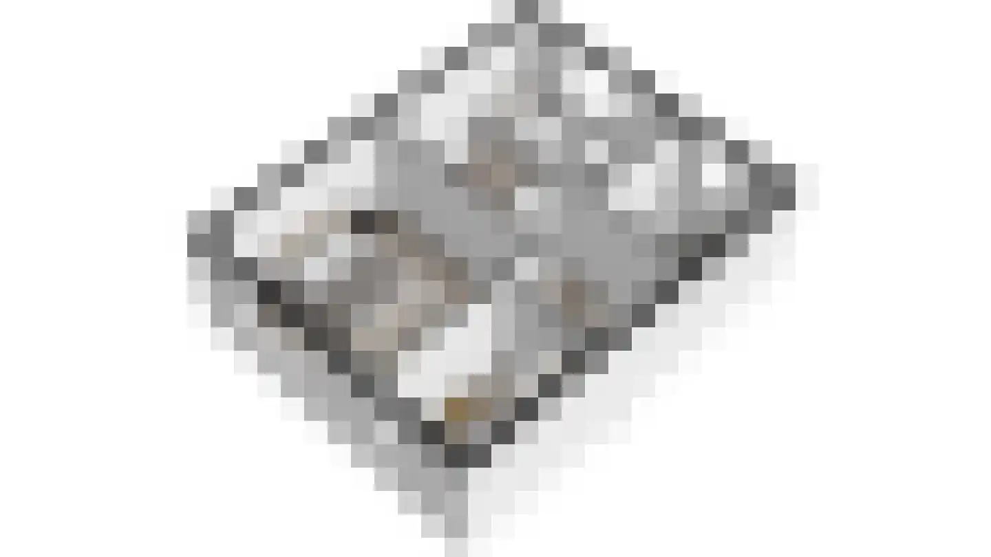Bakkerskamp 34 Schalkhaar thumbnail 43