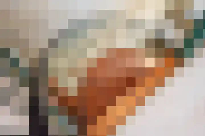 Bakkerskampstraat 18 Breedenbroek thumbnail 23