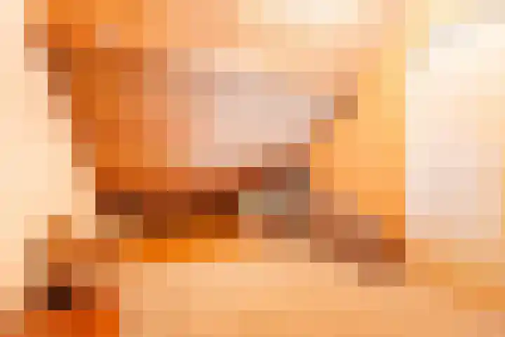 Bakkerskampstraat 18 Breedenbroek thumbnail 39