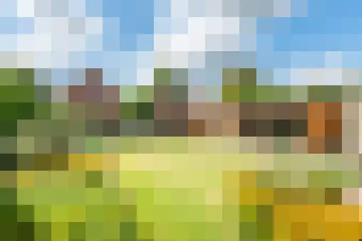 Bakkerskampstraat 18 Breedenbroek thumbnail 4