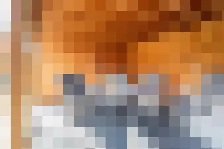 Bakkerskampstraat 18 Breedenbroek thumbnail 45