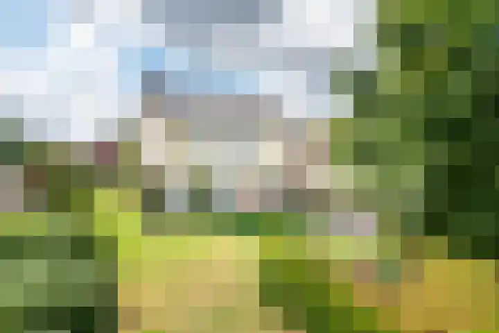 Bakkerskampstraat 18 Breedenbroek thumbnail 6