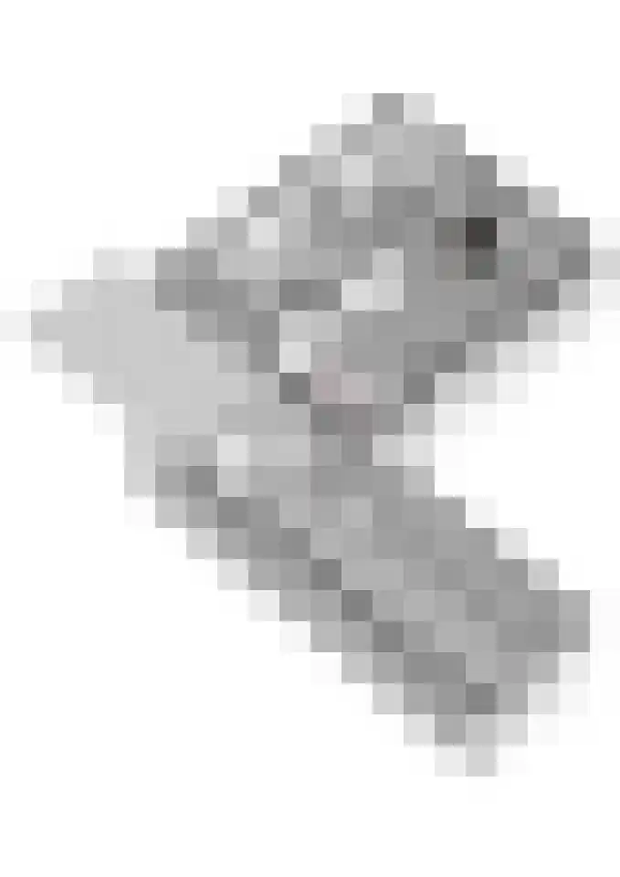 Bakkerskampstraat 18 Breedenbroek thumbnail 66