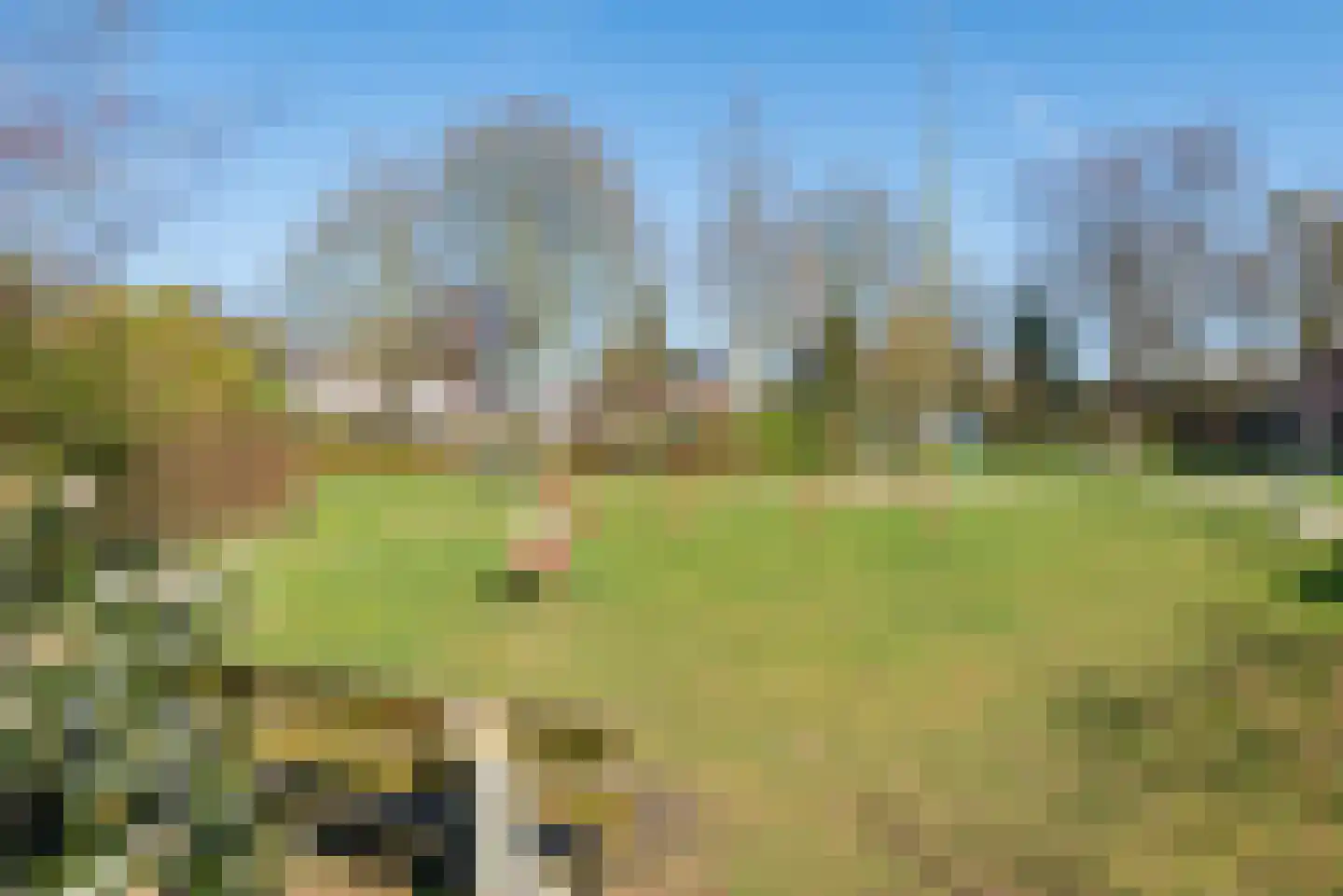 Bakkerskampstraat 9 Breedenbroek thumbnail 47