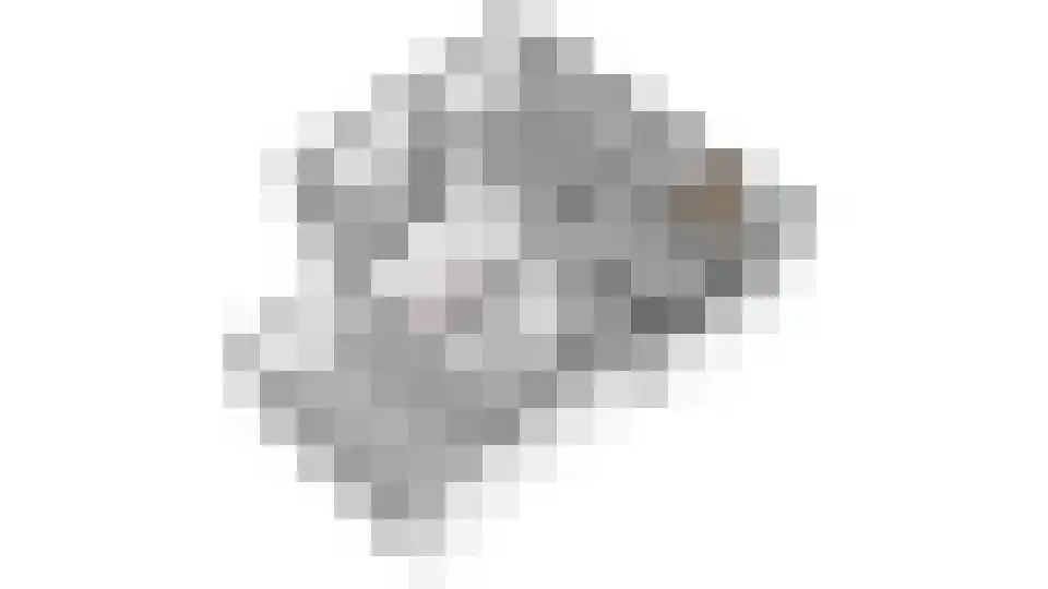 Bakkerskampstraat 9 Breedenbroek thumbnail 55