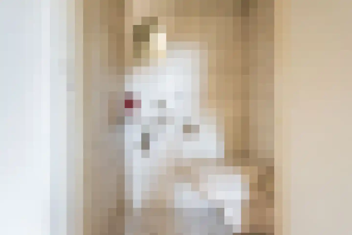Bakkerskampstraat 9 Breedenbroek thumbnail 8
