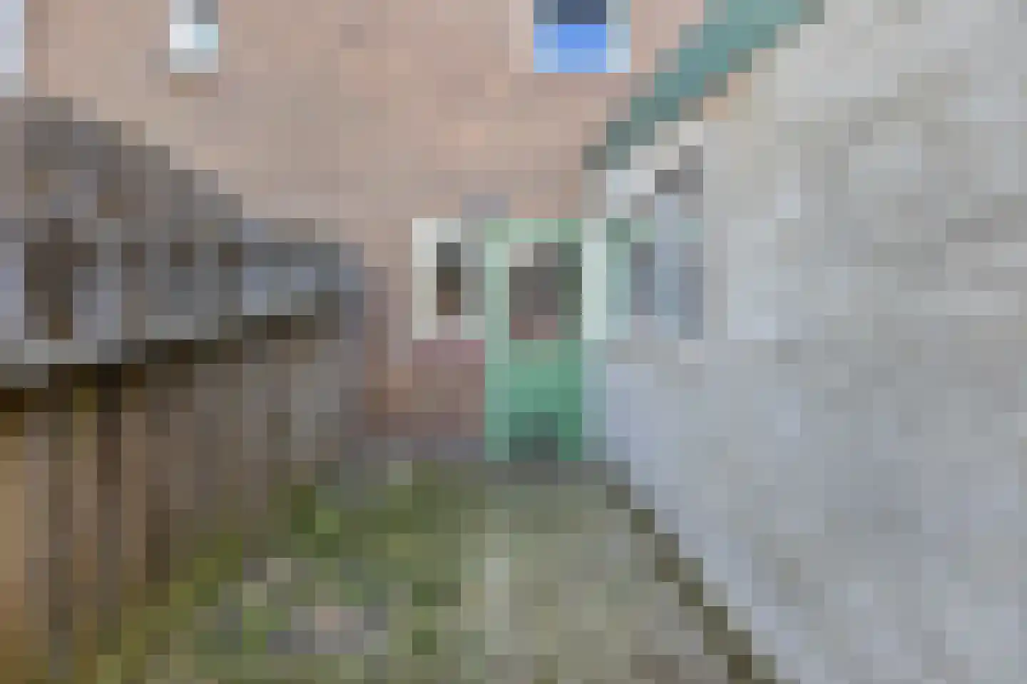 Bakkerskilstraat 16 Werkendam thumbnail 12