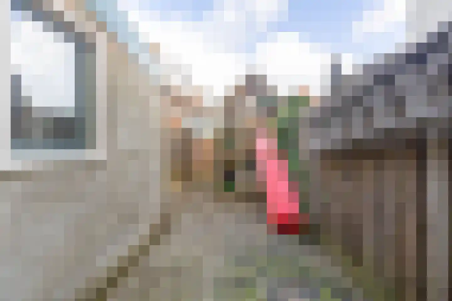 Bakkerskilstraat 16 Werkendam thumbnail 4