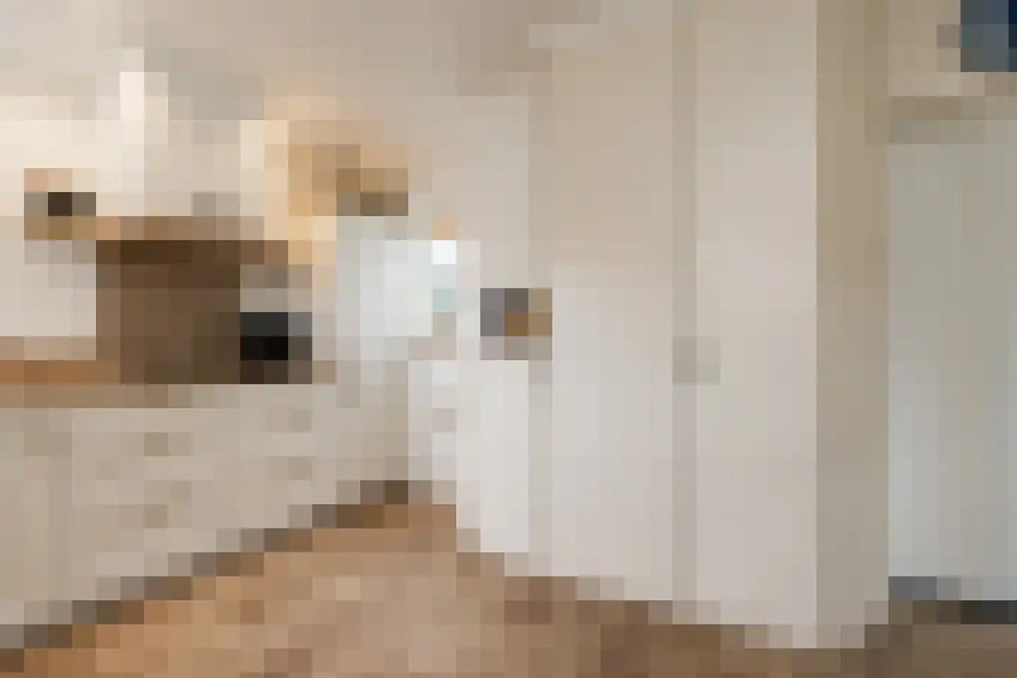 Bakkerskilstraat 27 a Werkendam thumbnail 34