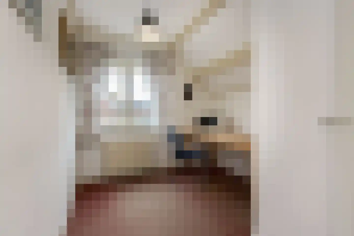 Bakkerskilstraat 27 a Werkendam thumbnail 60