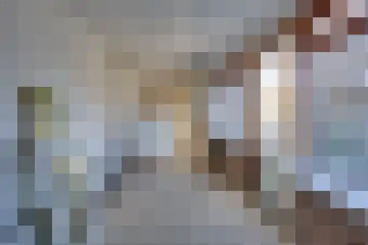 Bakkerskilstraat 32 Werkendam thumbnail 9