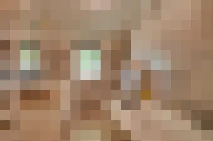 Bakkerskilweg 1 Werkendam thumbnail 26