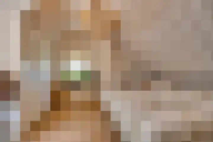 Bakkerskilweg 1 Werkendam thumbnail 35