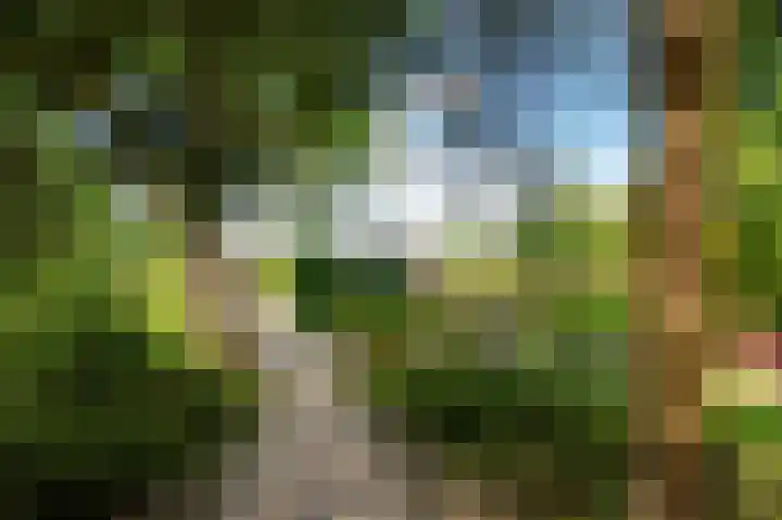 Bakkerskilweg 1 Werkendam thumbnail 44