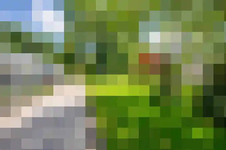 Bakkerskilweg 1 Werkendam thumbnail 53
