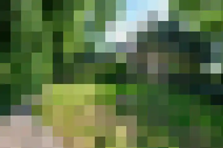 Bakkerskilweg 1 Werkendam thumbnail 6