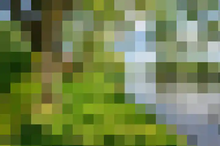 Bakkerskilweg 1 Werkendam thumbnail 60