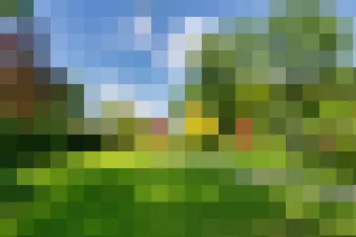 Bakkerskilweg 1 Werkendam thumbnail 61