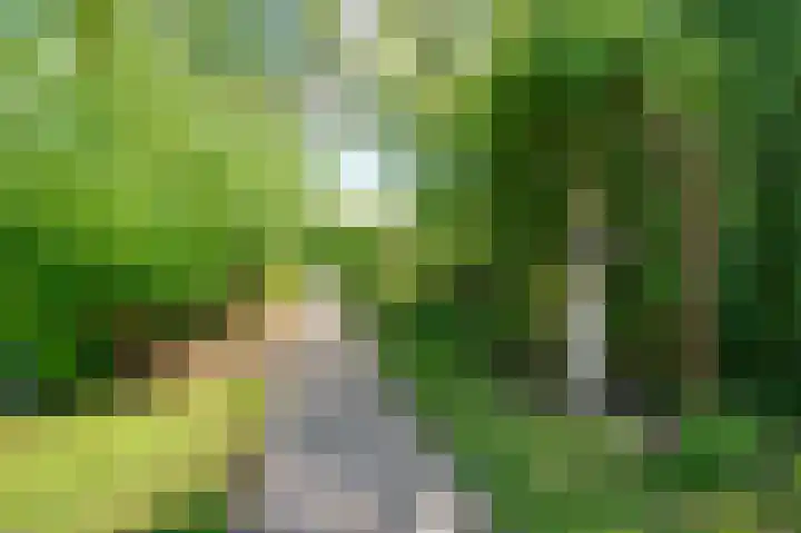 Bakkerskilweg 1 Werkendam thumbnail 63