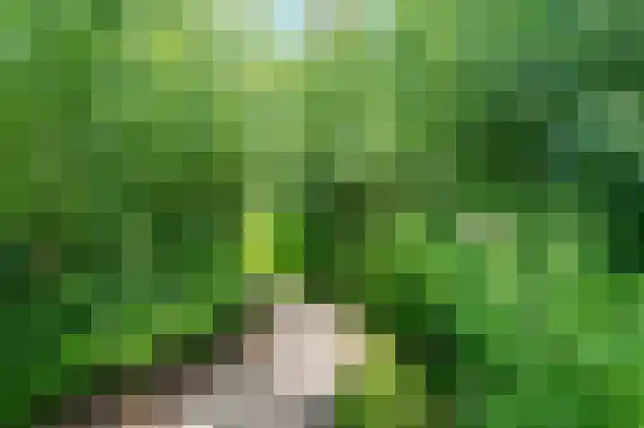 Bakkerskilweg 1 Werkendam thumbnail 65
