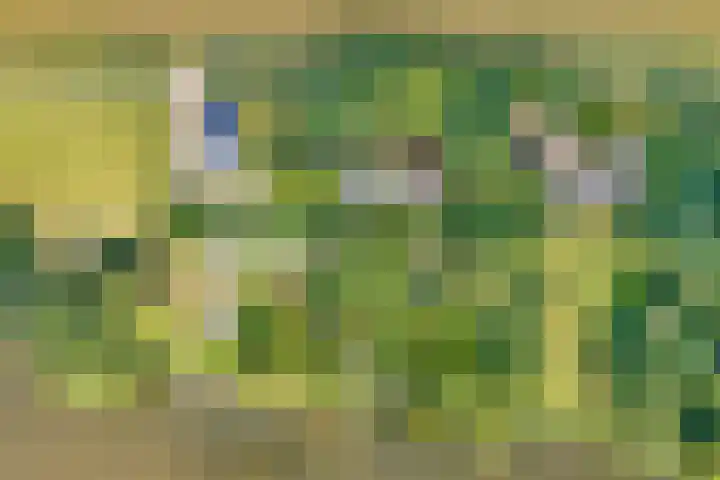 Bakkerskilweg 1 Werkendam thumbnail 67