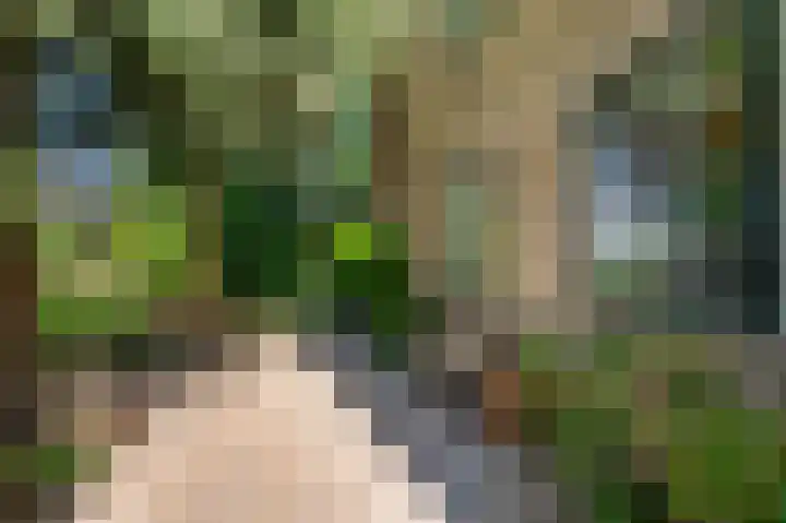 Bakkerskilweg 1 Werkendam thumbnail 7
