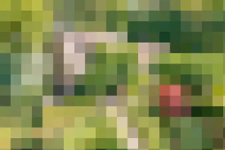 Bakkerskilweg 1 Werkendam thumbnail 73