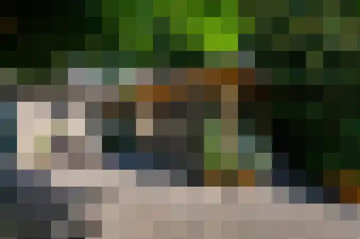 Bakkerskilweg 1 Werkendam thumbnail 9