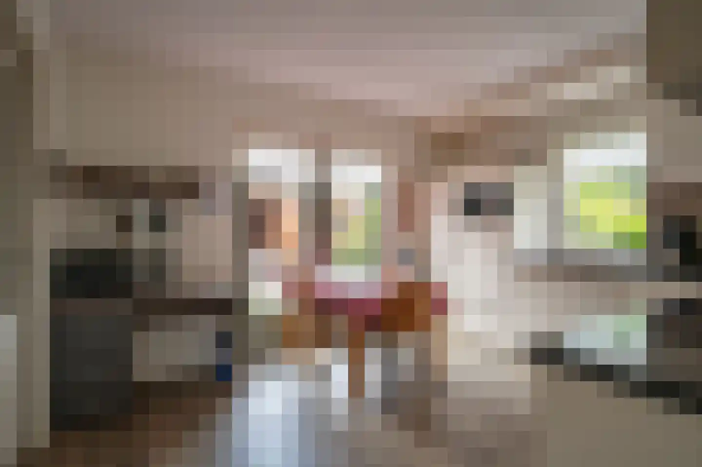 Bakkerslaan 2 IJhorst thumbnail 10