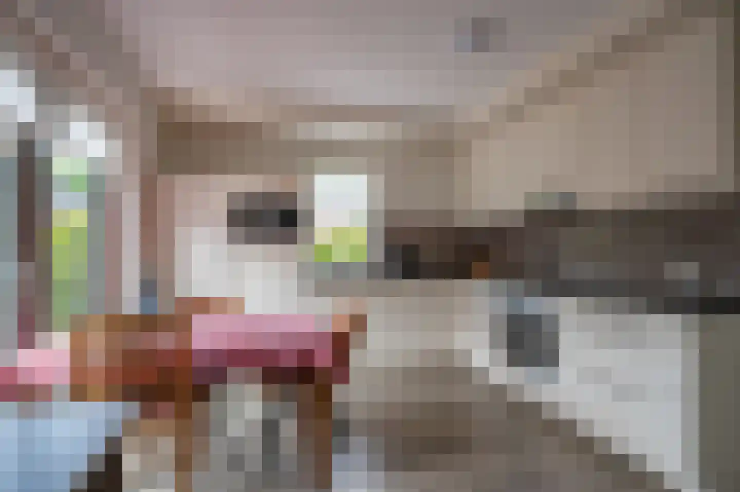 Bakkerslaan 2 IJhorst thumbnail 11