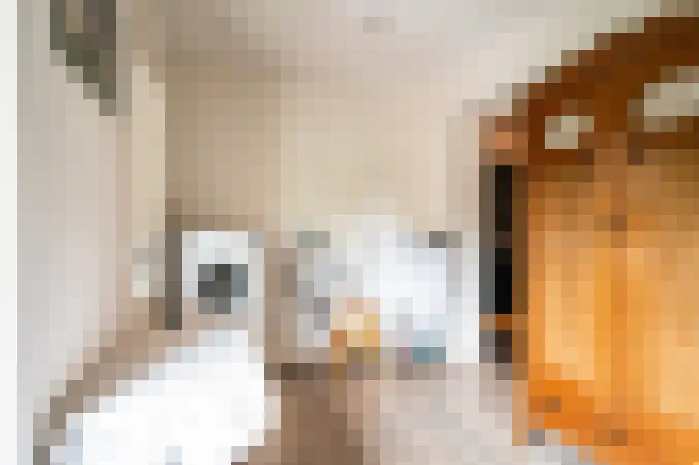 Bakkerslaan 2 IJhorst thumbnail 14