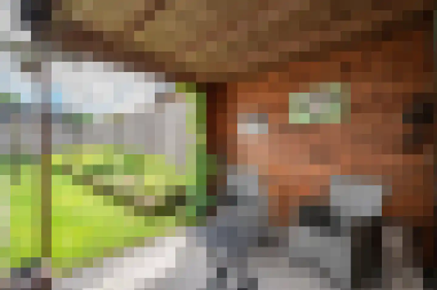 Bakkerslaan 2 IJhorst thumbnail 28