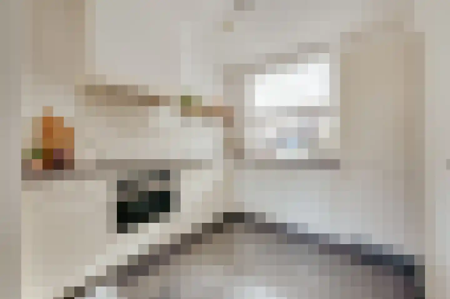 Bakkersland 10 Grijpskerke thumbnail 14