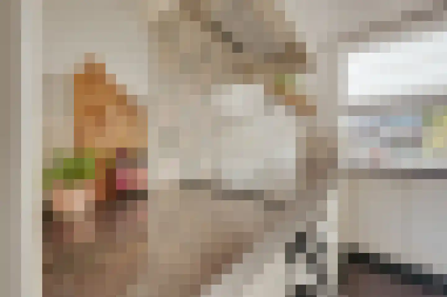 Bakkersland 10 Grijpskerke thumbnail 16