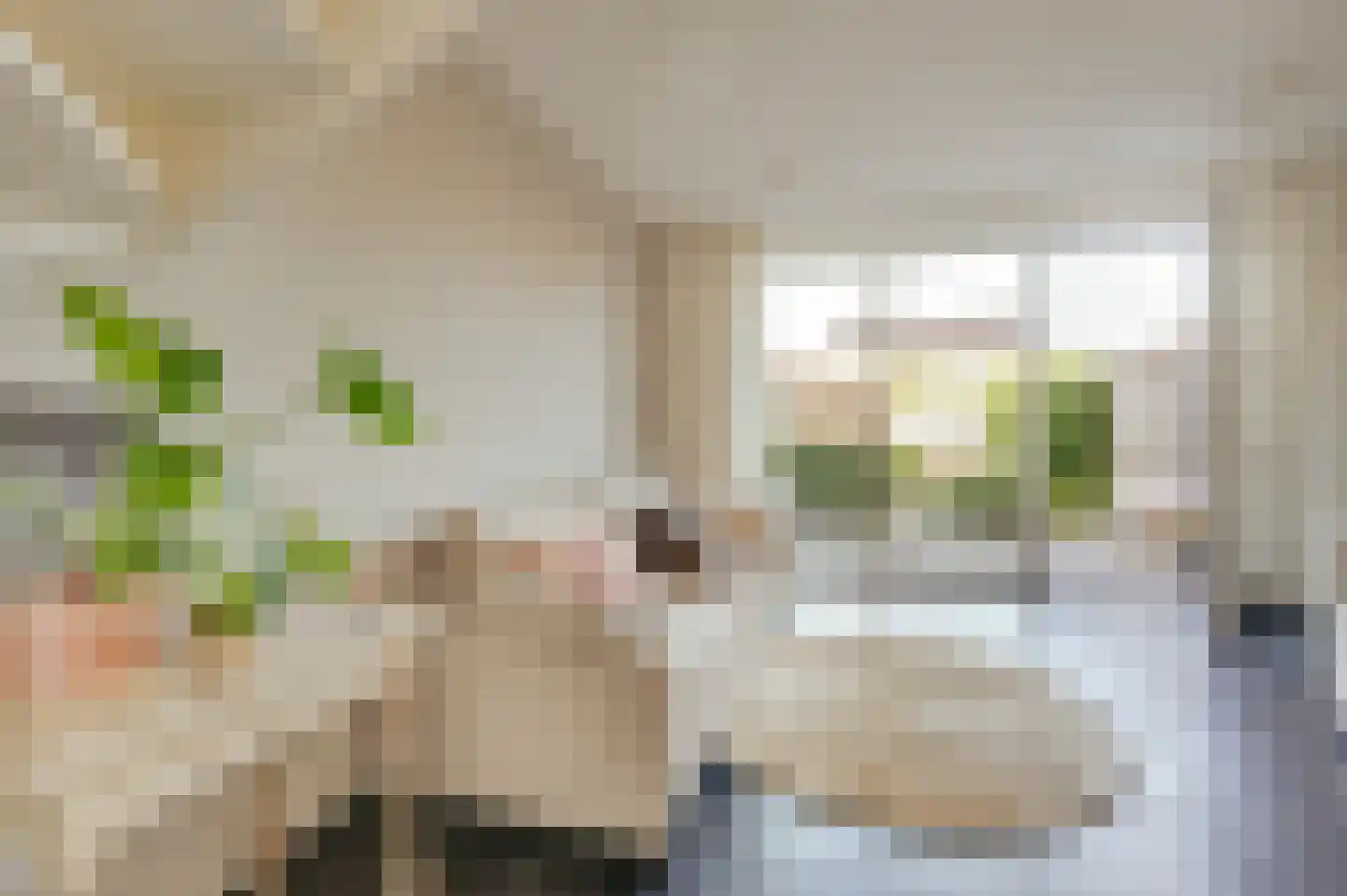 Bakkersland 10 Grijpskerke thumbnail 21