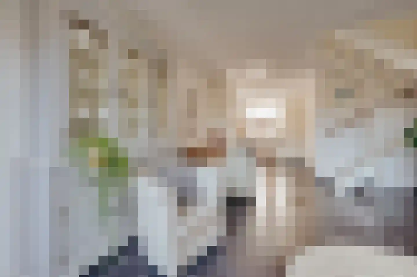 Bakkersland 10 Grijpskerke thumbnail 22