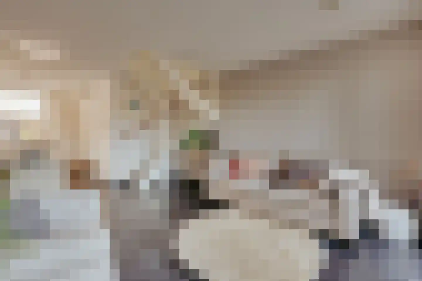 Bakkersland 10 Grijpskerke thumbnail 23