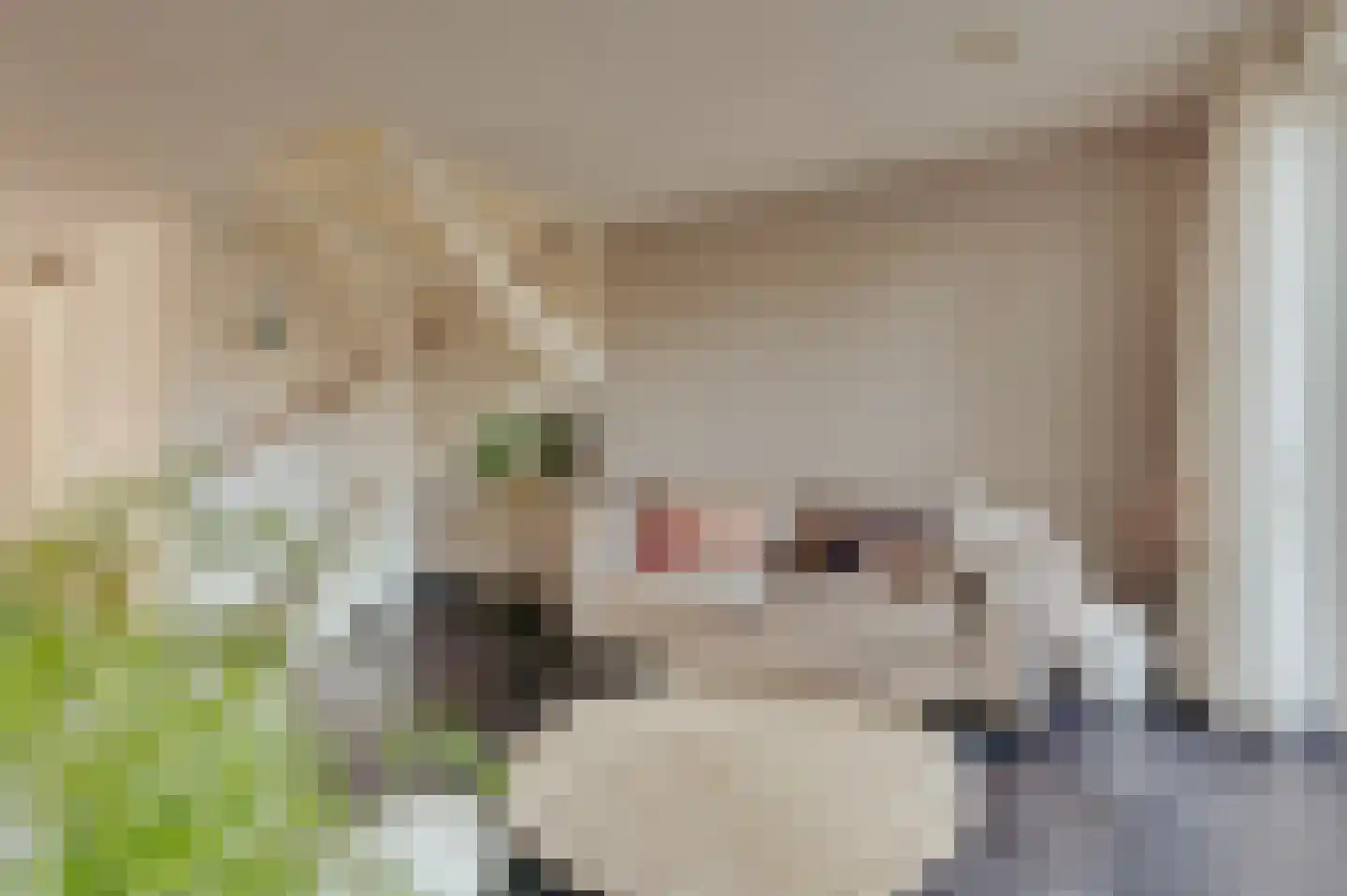 Bakkersland 10 Grijpskerke thumbnail 24