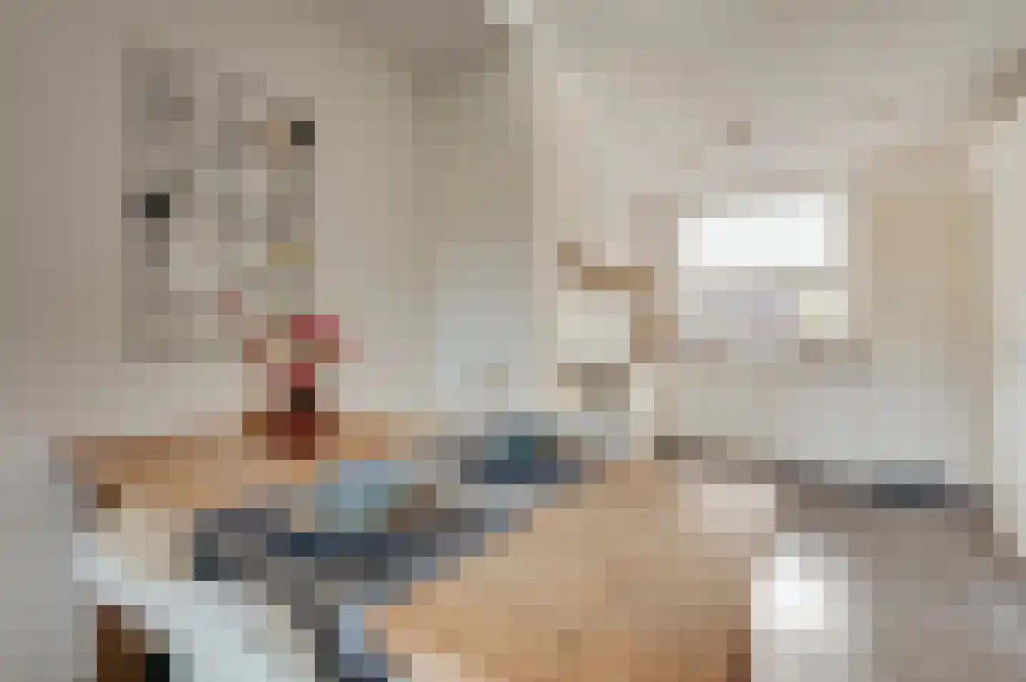 Bakkersland 10 Grijpskerke thumbnail 25
