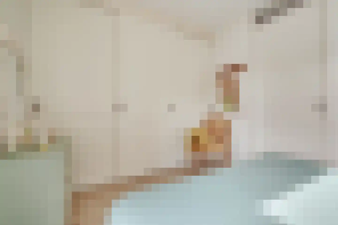 Bakkersland 10 Grijpskerke thumbnail 32