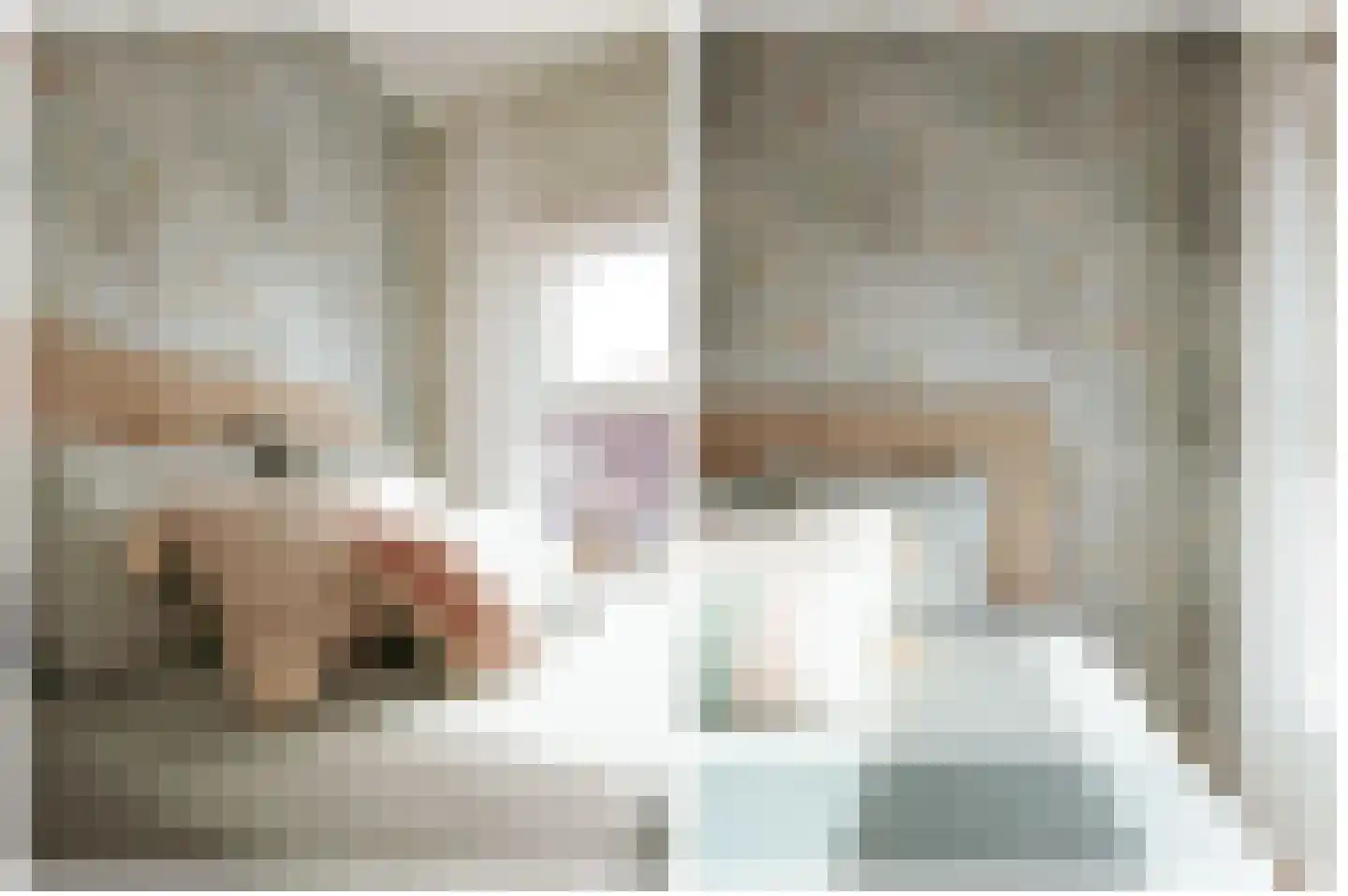 Bakkersland 10 Grijpskerke thumbnail 33