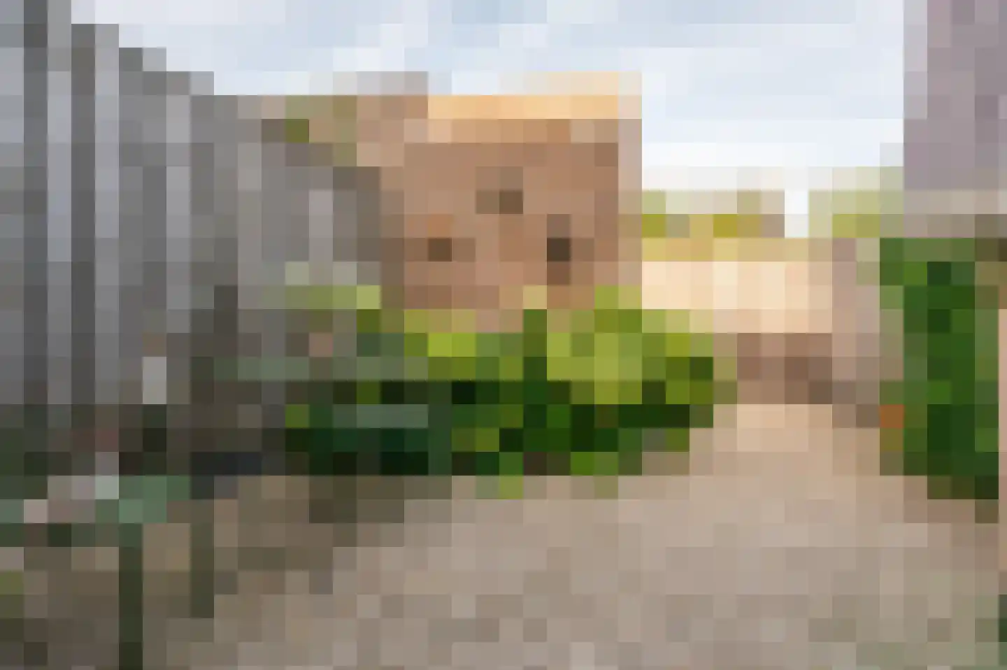 Bakkersland 10 Grijpskerke thumbnail 7
