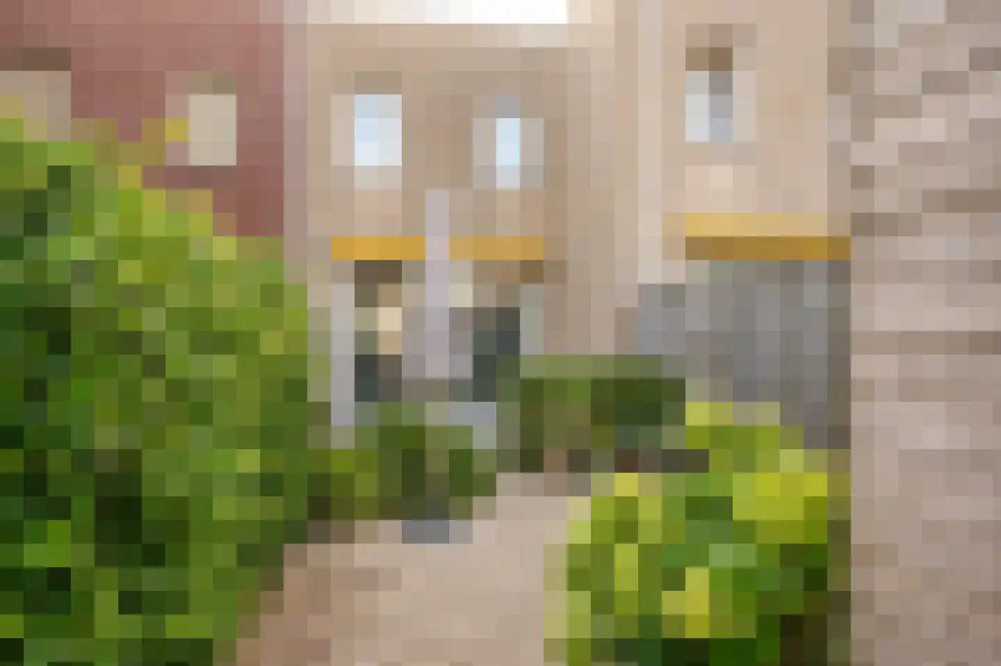 Bakkersland 10 Grijpskerke thumbnail 9