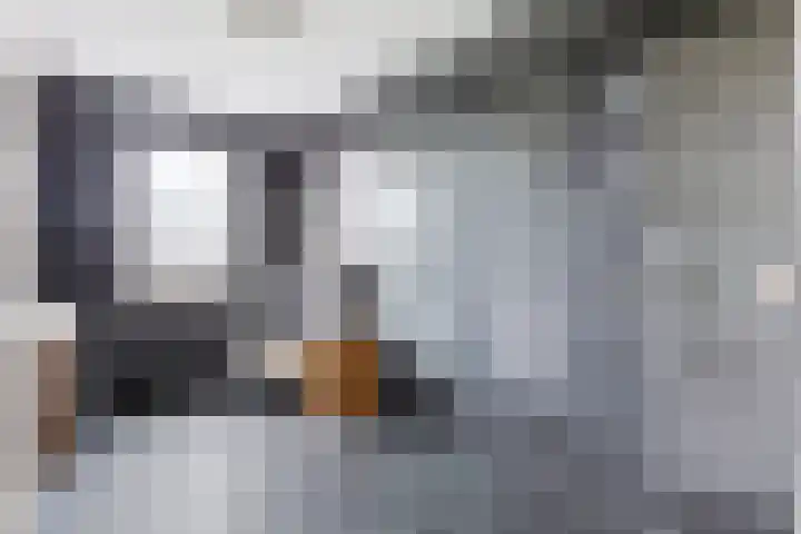 Bakkersland 30 Grijpskerke thumbnail 16