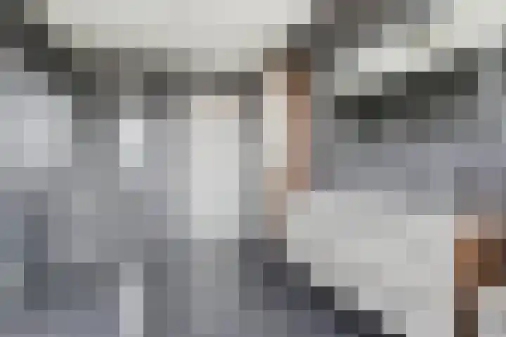 Bakkersland 30 Grijpskerke thumbnail 17