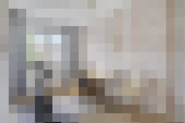 Bakkersland 30 Grijpskerke thumbnail 19
